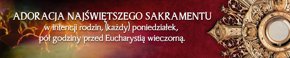 Slider 17